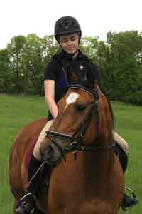 Wildfire: American Quarter Horse mare by Mr. Bee Smooth x Perfect in Gold x Charley Dickens